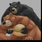 Fin_bears_sub
