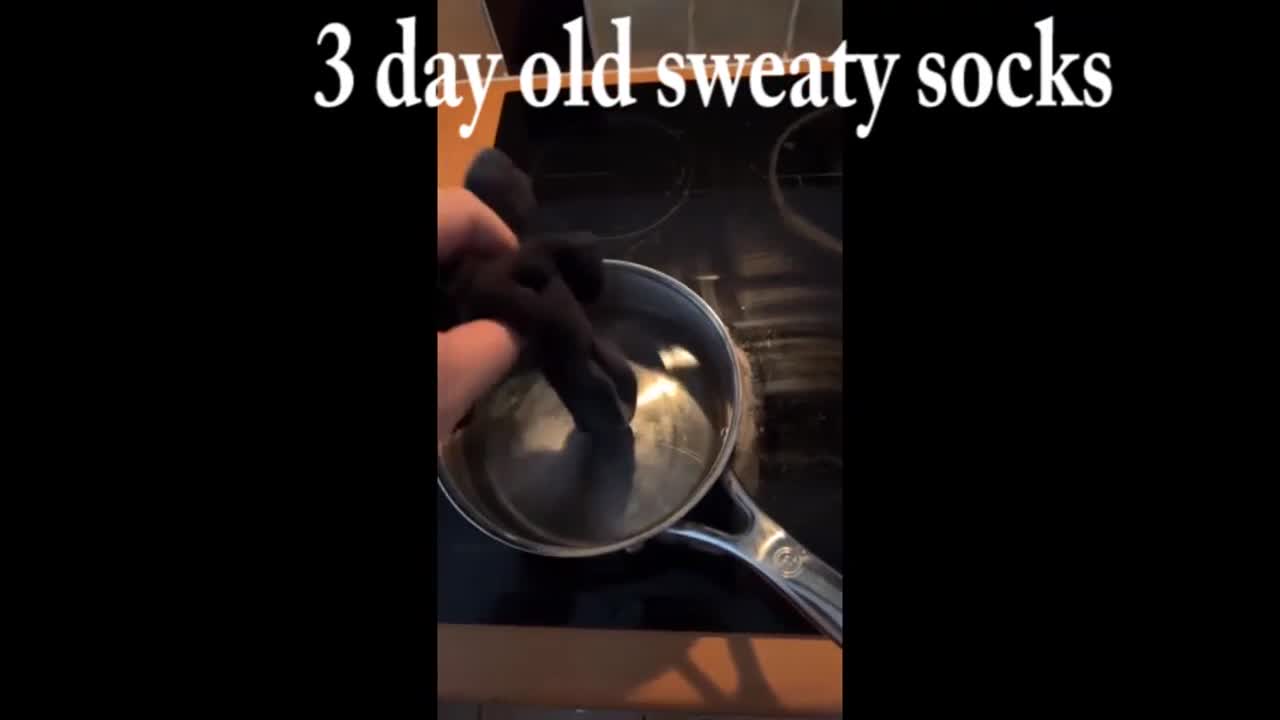 Sweaty Sock Spaghetti